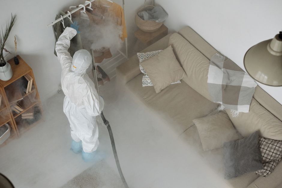Deep steam cleaning process on textured carpet
